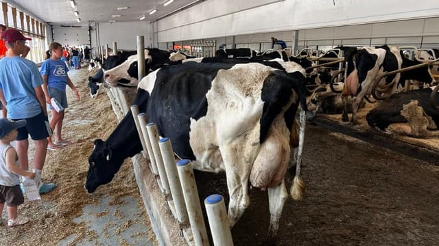 A local dairy farm in Pelham, part of the town's agricultural community